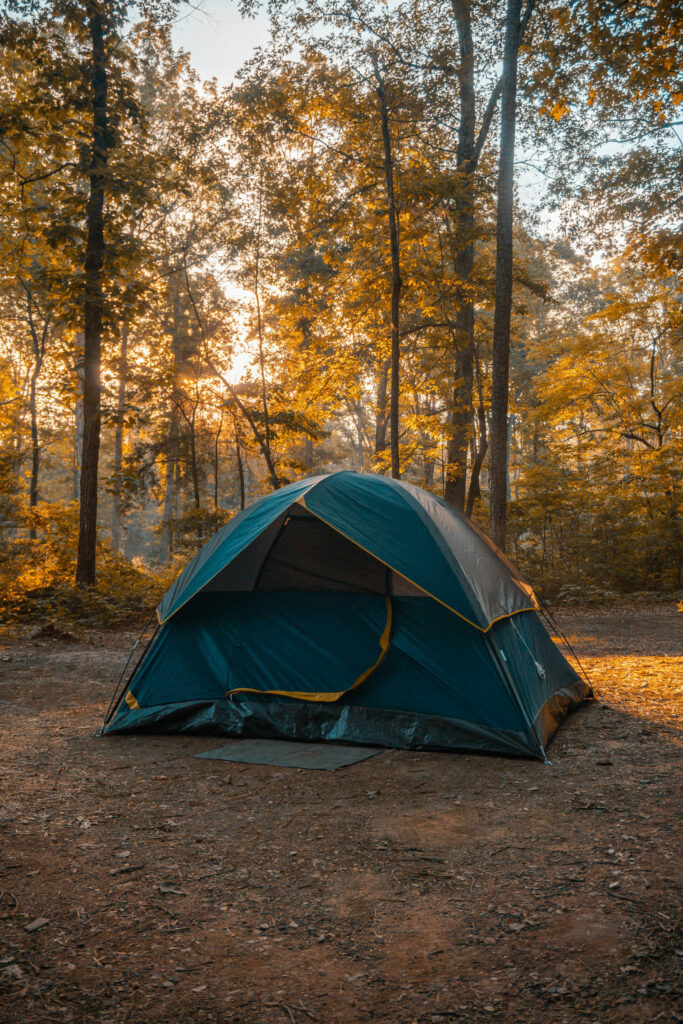 triston-dunn-gDElF4RMYbY-unsplash (2)